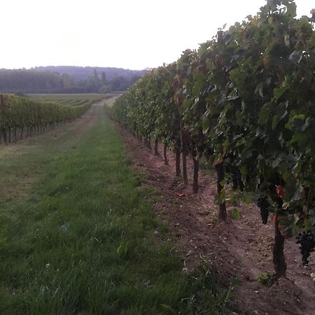 Chateau Le Noble Winery Near St Emilion Saint-Germain-du-Puch Luaran gambar